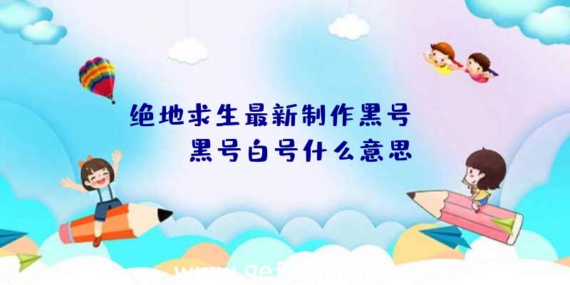 「绝地求生最新制作黑号」|pubg黑号白号什么意思